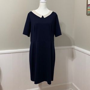 Target (Merona) Navy Dress w/ collar all the way around the dress. Large.